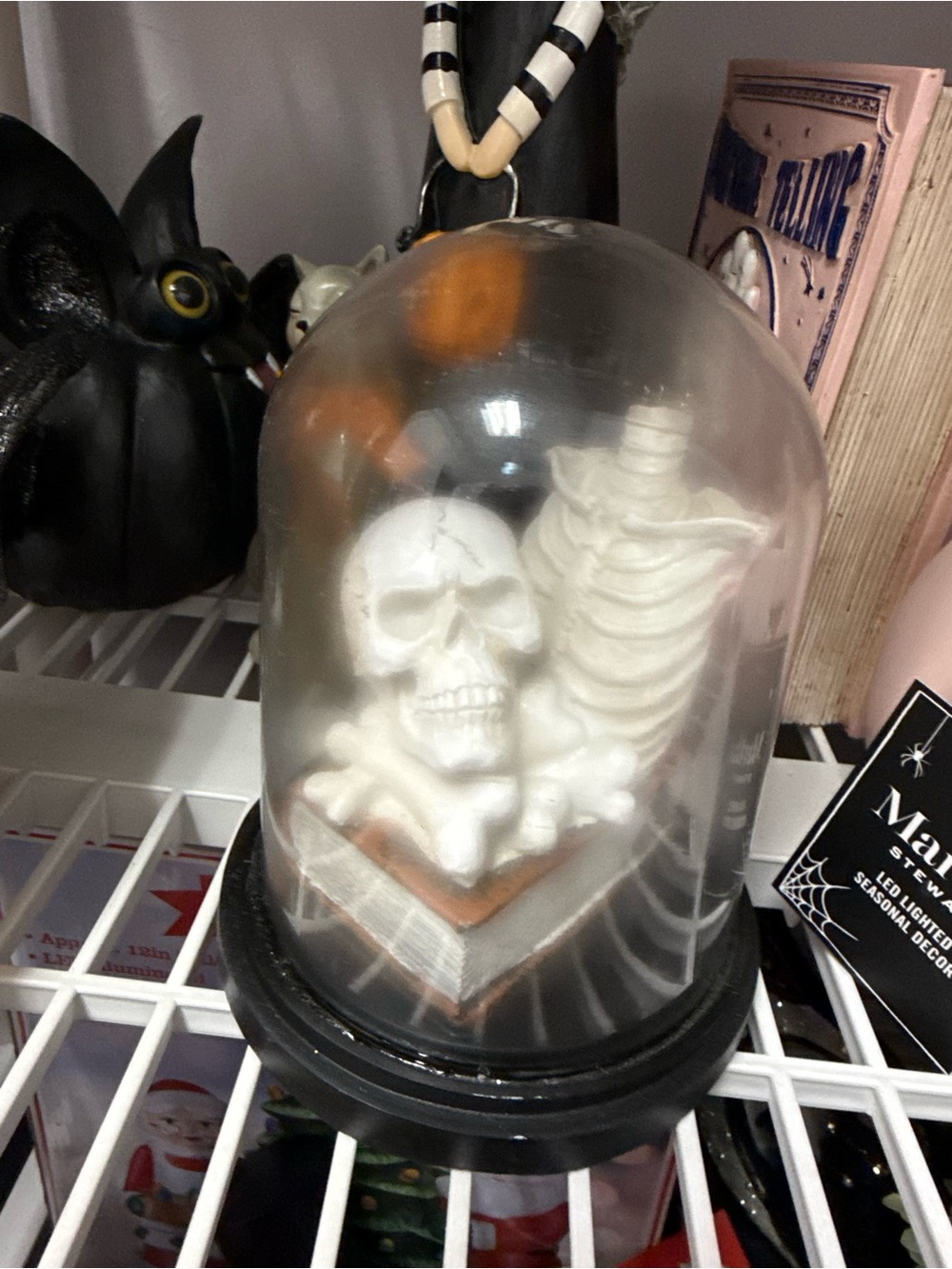 White Skull and Ribcage Dome Decorative Accent - Home Art